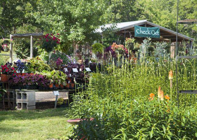One-of-a-kind East Texas nursery is fun for shopping.